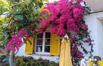 le Boucanier - Foto 33