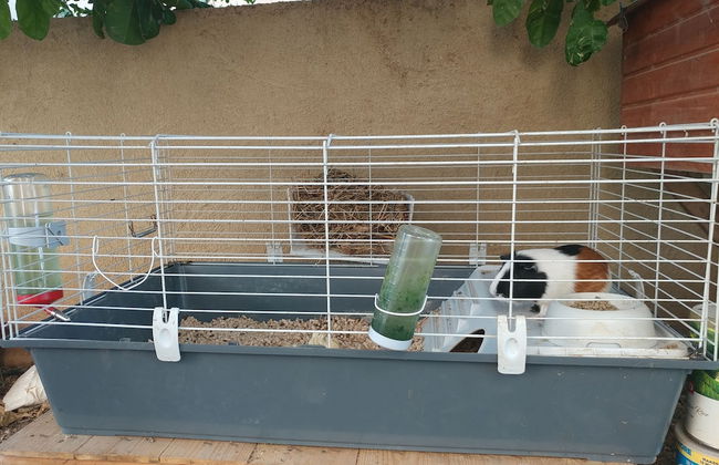 Assaf's Cabin - Foto 18