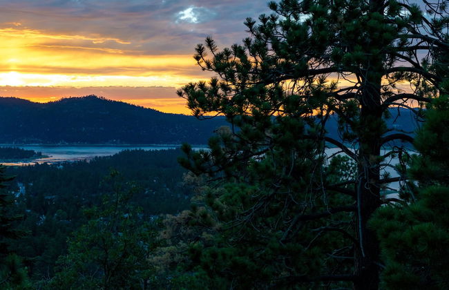 Pinglewood Cabin #2096 - Foto 10