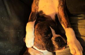 Quinta Padre Lobo - Foto 68