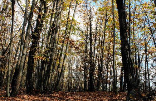 Ca del Vecchio - Foto 42