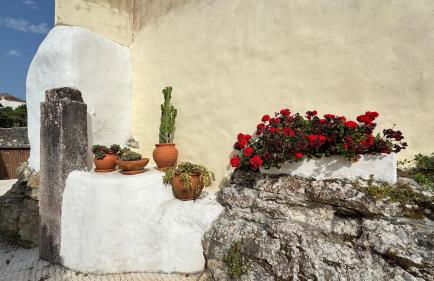 Casa Outeiro - Foto 36