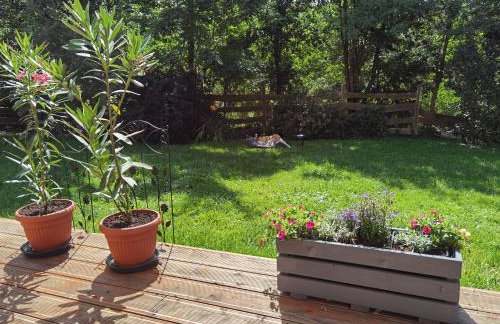 Akacja Apartament - Foto 15