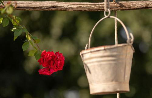 Villa Encantamiento - Dimora Gelsomino - Masseria Storica nel cuore della Puglia con piscina - Foto 62