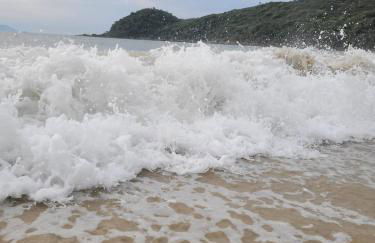 Apartamento Residencial Mar Azul - praia de Palmas - Governador Celso Ramos-SC - Photo 34