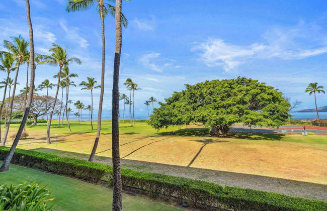 Maui Schooner Resort - Photo 28