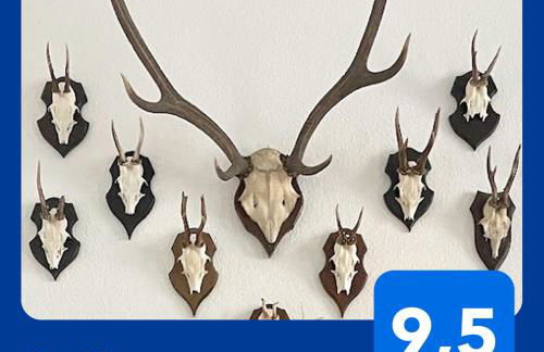 Magic Forest Design Apartment, 65 Zoll TV, Waschtrockner, beste Lage, am Markt - Foto 1