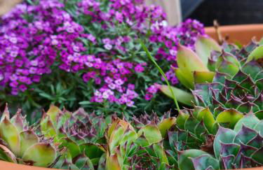 Domaine du vieux tilleul- Appartements - Gorges Tarn et Jonte - Foto 22