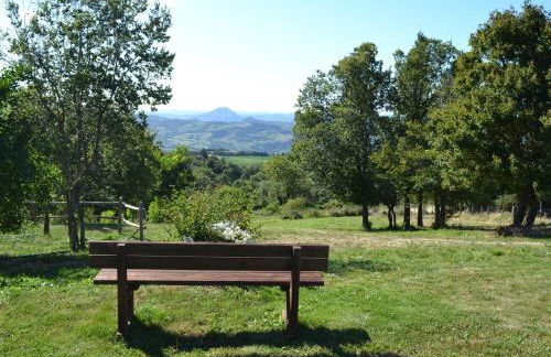 Fattoria Bio L'A Ceccoli - Foto 26