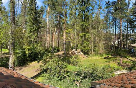 Waldhaus Eichhörnchen - Foto 45