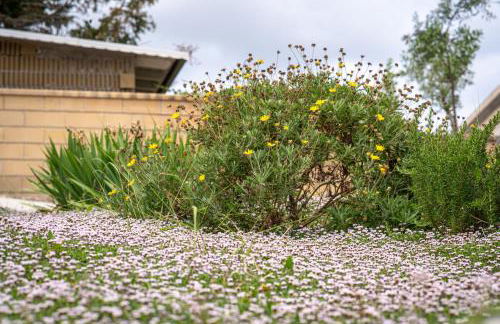 Case Vacanze Il Marchetto - Foto 32