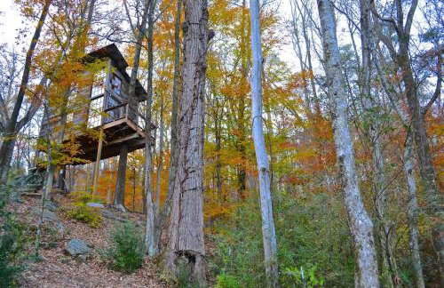 Treetop Hideaways: Luna Loft Treehouse - Foto 18