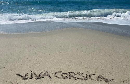 Les pieds dans l eau de Betty Ghisonaccia plage 50 m - Foto 42