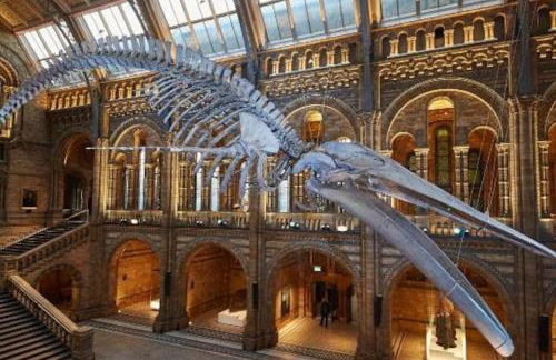 Charming Home with Private Balcony, on 1st floor, with 2 Bathrooms, 3 min walk to Earl's Court Station - Photo 42