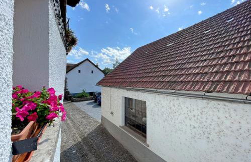 Etxetxikia - Foto 19