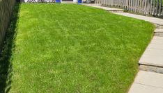 Meadowvine - Foto 2, Garden