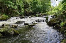 Agroturystyka Burylowka - Foto 12