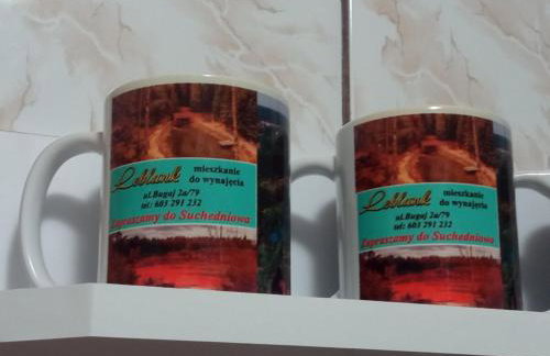 MIESZKANIE SUCHEDNIÓW ul Bugaj 2a79 - Foto 6