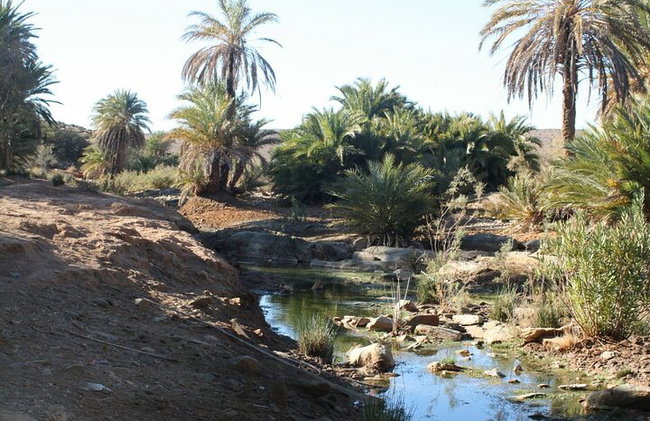 Tour de 2 días por el desierto de El Borj desde Agadir - Foto 6