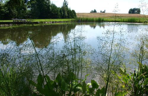 Dworek Szarki - Foto 34