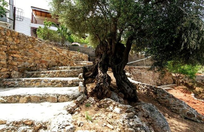 Aoria Traditional House With Stuning Mountain View - Foto 10