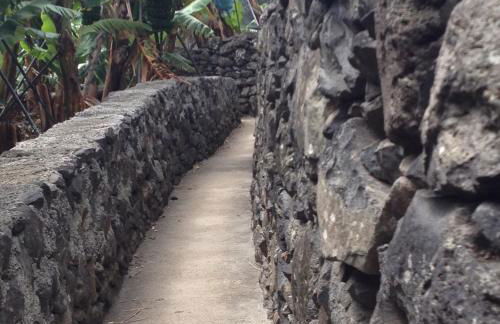 Levadinha - Nature guest house - Foto 37