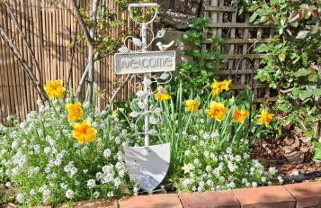 Flower house - Photo 5