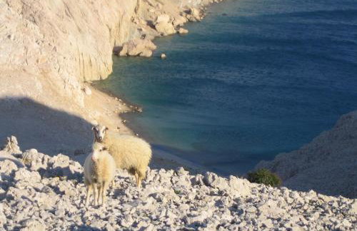 Big Blue - Xenija (Veliko Plavetnilo - Ksenija) - Foto 49