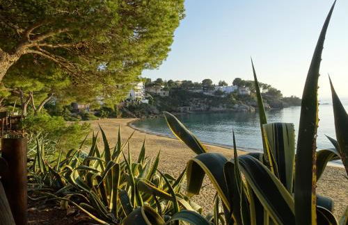 Apartament Belvedere - Foto 68