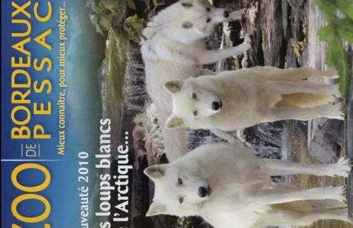 Mignon petit appartement indépendant - Foto 22