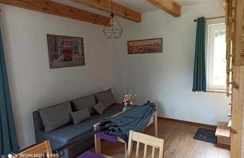 Urokliwy domek na mazurach - Foto 8