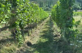 Gästehaus Lydia - Foto 45