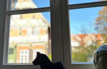 Allerhaus Apartments am Ackerbürgerhaus - Foto 10