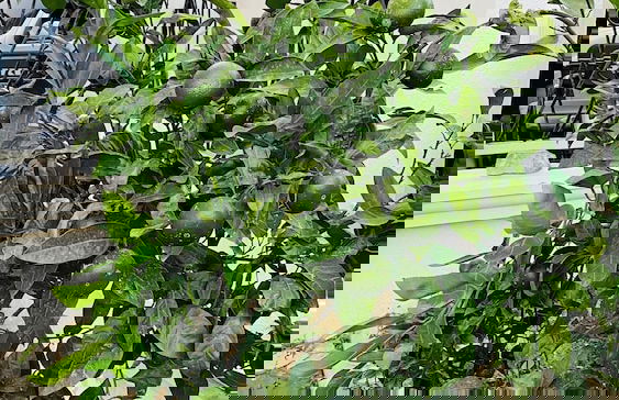 In+Residence - Foto 55