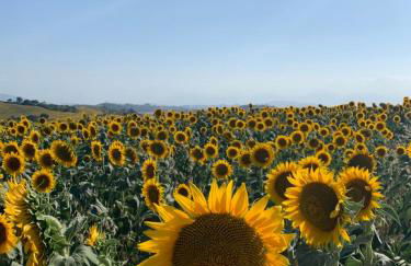 Al Poggio dei 4 Borghi - Foto 18