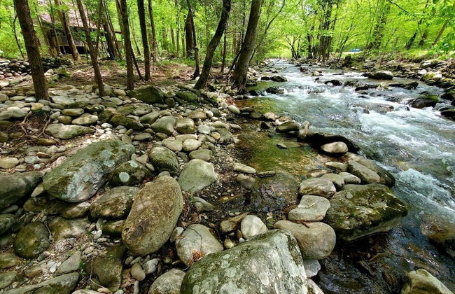 Elk Run On Cosby Creek - 2 Bedrooms, 2 Baths, Sleeps 7 Cabin by RedAwning - Foto 21