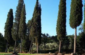 Podere Pievina Delle Corti - Dimora di Campagna - Photo 10