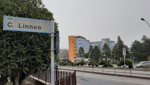 La Residenza di fronte all'ospedale di Vittorio Veneto via Linneo - Foto 1