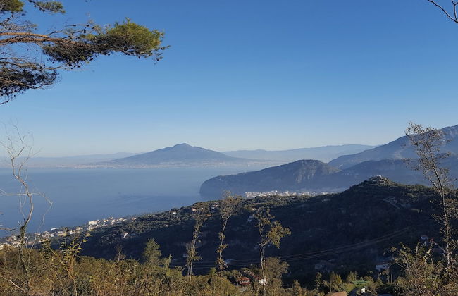 Gli Ulivi Agriturismo - Foto 60