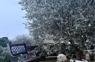 Il Rifugio dorato guest house - Foto 2