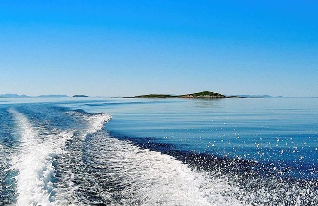 Holiday Home in Austbø - Foto 13