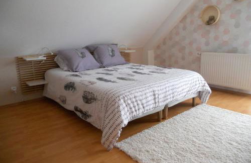 Si le coeur vous en dit - Foto 13