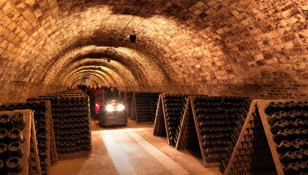 Bodegas Codorníu - Guided Tours - Photo 3