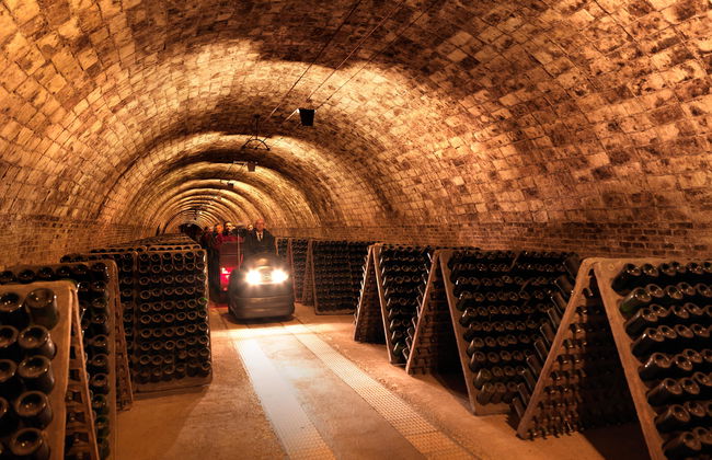 Bodegas Codorníu - Guided Tours - Photo 3