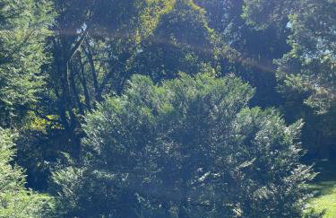 Memora Guesthouse Bateias - Casa Inteira e quartos em chácara - Foto 75