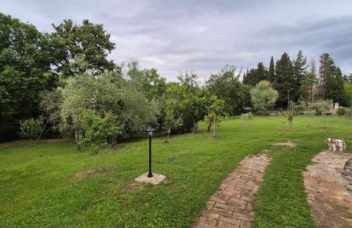 La Rosa Rossa - Foto 27