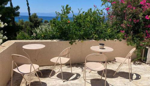 Granatapfel - Foto 5