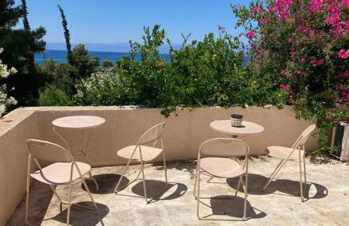 Granatapfel - Foto 5