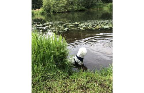 Charming apartment in Husum - Foto 25