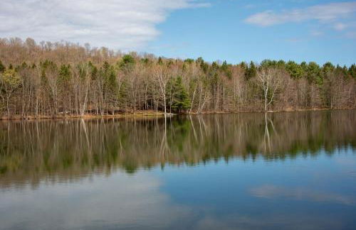 Luxury Log Cabin Lakefront, Game room & Fire Pit, - Foto 35